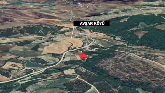 Отдельный Участок, Право Собственности Единоличное, Не Поделено, Очень Близко К Границе Населённого Пункта, Срочная Продажа, Поиск Возможностей