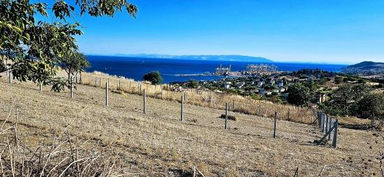 Гарантия Высокой Прибыли Для Тех, Кто Хочет Купить Или Продать. Срочная Продажа Из-За Необходимости В Наличных Деньгах.