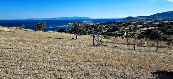 Гарантия Высокой Прибыли Для Тех, Кто Хочет Купить Или Продать. Срочная Продажа Из-За Необходимости В Наличных Деньгах.