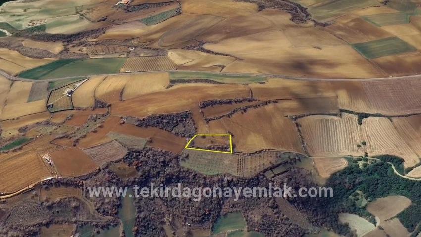Для Продажи Земля в Çanakçı Süleymanpaşa - Под Поле застройку - 3.110 m²