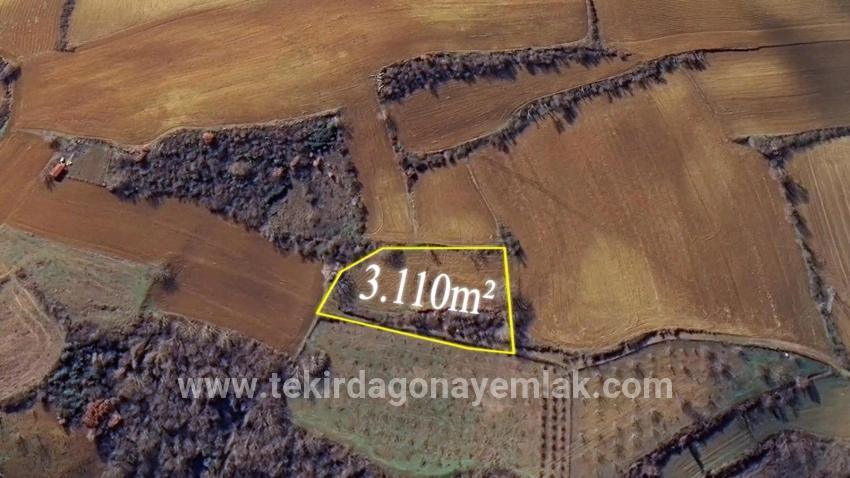 Для Продажи Земля в Çanakçı Süleymanpaşa - Под Поле застройку - 3.110 m²