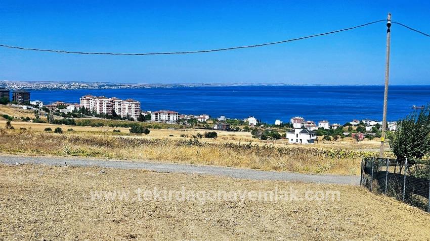 Для Продажи Сюжет в Barbaros Süleymanpaşa Kumbağ - Под Жилье застройку - 580 m²