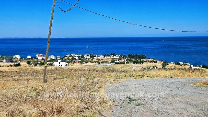 Для Продажи Сюжет в Barbaros Süleymanpaşa Kumbağ - Под Жилье застройку - 580 m²