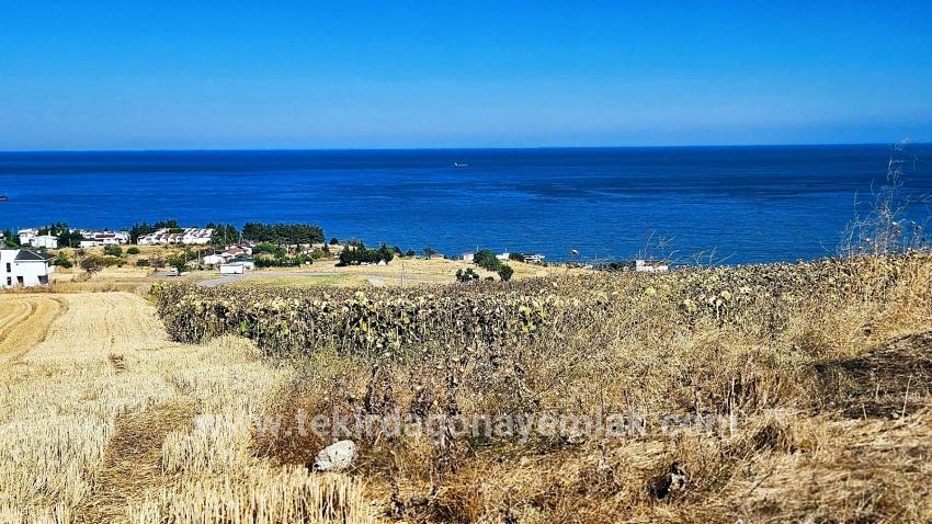 Для Продажи Сюжет в Barbaros Süleymanpaşa Kumbağ - Под Жилье застройку - 580 m²