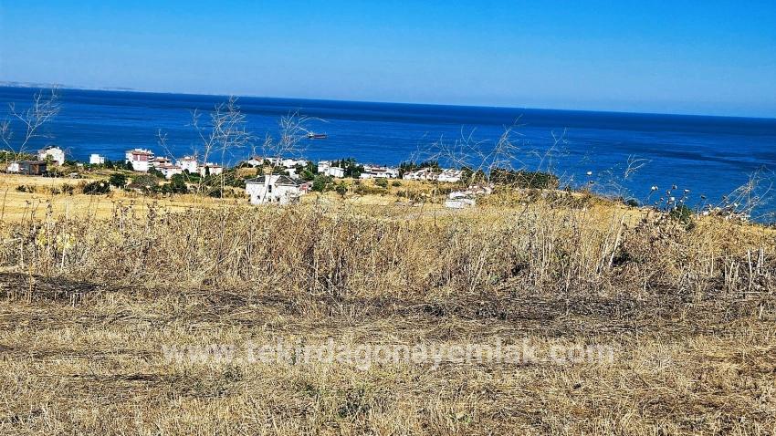 Для Продажи Сюжет в Barbaros Süleymanpaşa Kumbağ - Под Жилье застройку - 580 m²