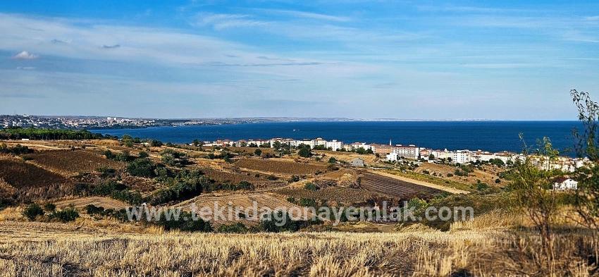 Для Продажи Сюжет в Topağaç Süleymanpaşa Altınova - Под Вилла застройку - 1.150 m²
