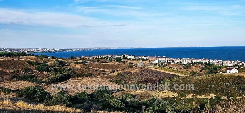 Для Продажи Сюжет в Topağaç Süleymanpaşa Altınova - Под Вилла застройку - 1.150 m²