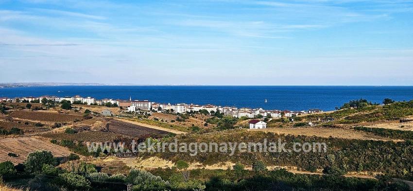 Для Продажи Сюжет в Topağaç Süleymanpaşa Altınova - Под Вилла застройку - 1.150 m²