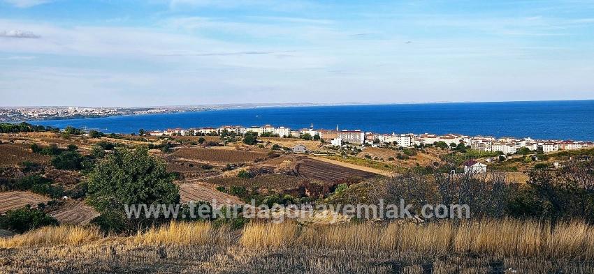 Для Продажи Сюжет в Topağaç Süleymanpaşa Altınova - Под Вилла застройку - 1.150 m²