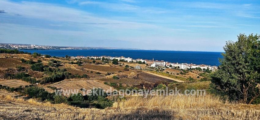 Для Продажи Сюжет в Topağaç Süleymanpaşa Altınova - Под Вилла застройку - 1.150 m²