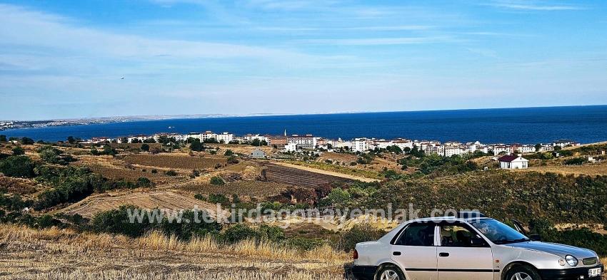 Для Продажи Сюжет в Topağaç Süleymanpaşa Altınova - Под Вилла застройку - 1.150 m²