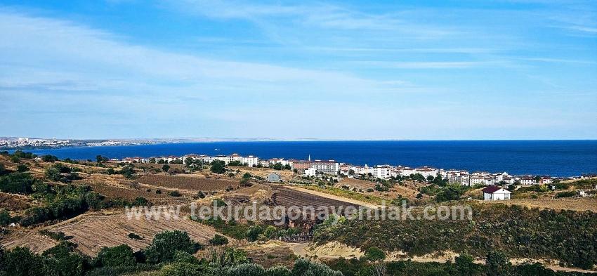 Для Продажи Сюжет в Topağaç Süleymanpaşa Altınova - Под Вилла застройку - 1.150 m²