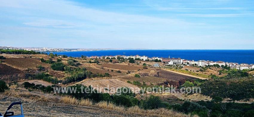 Для Продажи Сюжет в Topağaç Süleymanpaşa Altınova - Под Вилла застройку - 1.150 m²