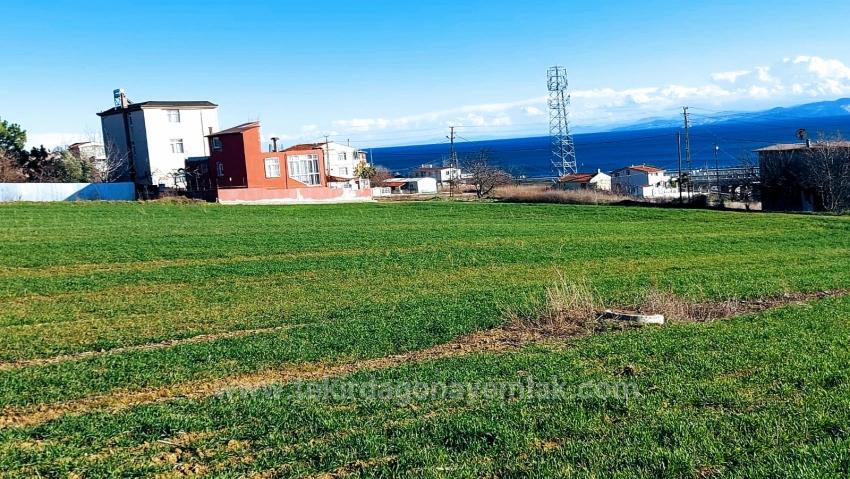 Kumbağa 1 Km Yakınlıkta Full Deniz Ve Doğa Manzaralı Al - Sat Yapmak İsteyenler İçin Fırsa