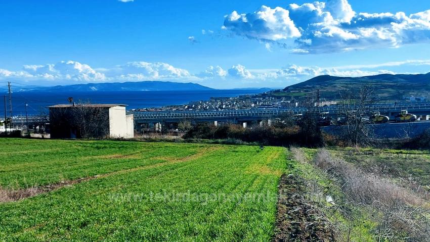 Kumbağa 1 Km Yakınlıkta Full Deniz Ve Doğa Manzaralı Al - Sat Yapmak İsteyenler İçin Fırsa