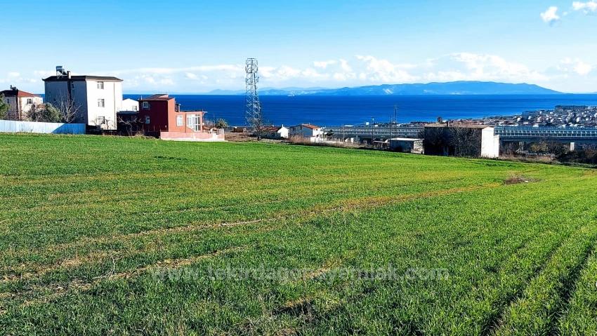 Kumbağa 1 Km Yakınlıkta Full Deniz Ve Doğa Manzaralı Al - Sat Yapmak İsteyenler İçin Fırsa