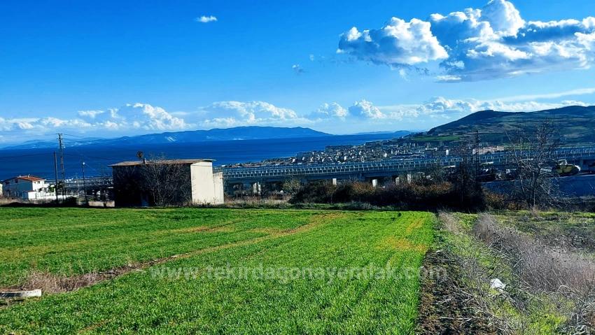 Kumbağa 1 Km Yakınlıkta Full Deniz Ve Doğa Manzaralı Al - Sat Yapmak İsteyenler İçin Fırsa