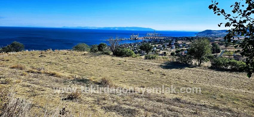 Süleymanpaşa Kumbağ Barbaros Mah. Satılık Arsa - Konut İmar Durumlu - 2.780 m²