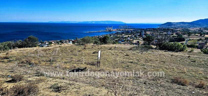 Süleymanpaşa Kumbağ Barbaros Mah. Satılık Arsa - Konut İmar Durumlu - 2.780 m²