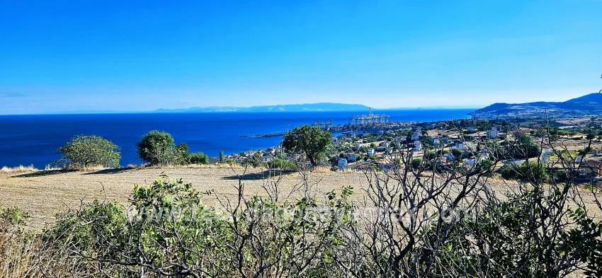 Süleymanpaşa Kumbağ Barbaros Mah. Satılık Arsa - Konut İmar Durumlu - 2.780 m²