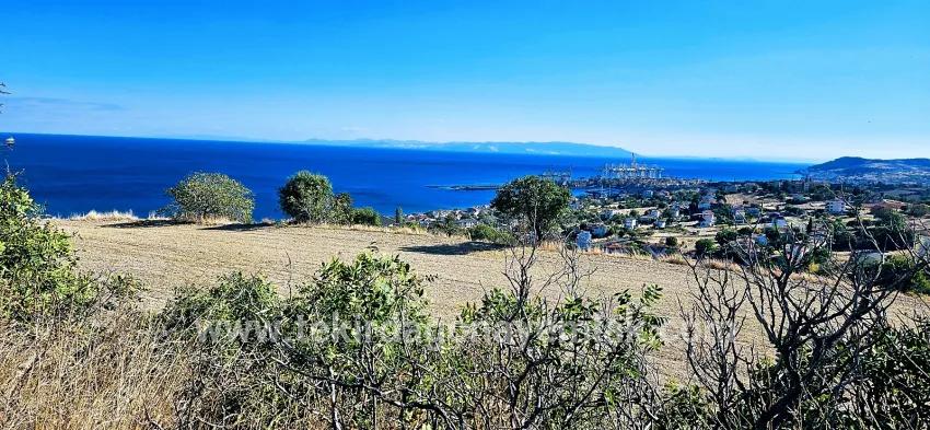 Süleymanpaşa Kumbağ Barbaros Mah. Satılık Arsa - Konut İmar Durumlu - 2.780 m²