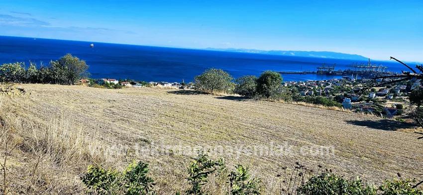 Süleymanpaşa Kumbağ Barbaros Mah. Satılık Arsa - Konut İmar Durumlu - 2.780 m²