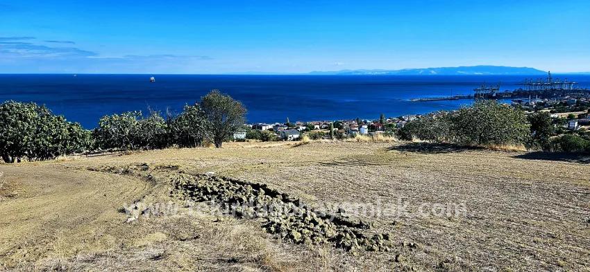 Süleymanpaşa Kumbağ Barbaros Mah. Satılık Arsa - Konut İmar Durumlu - 2.780 m²