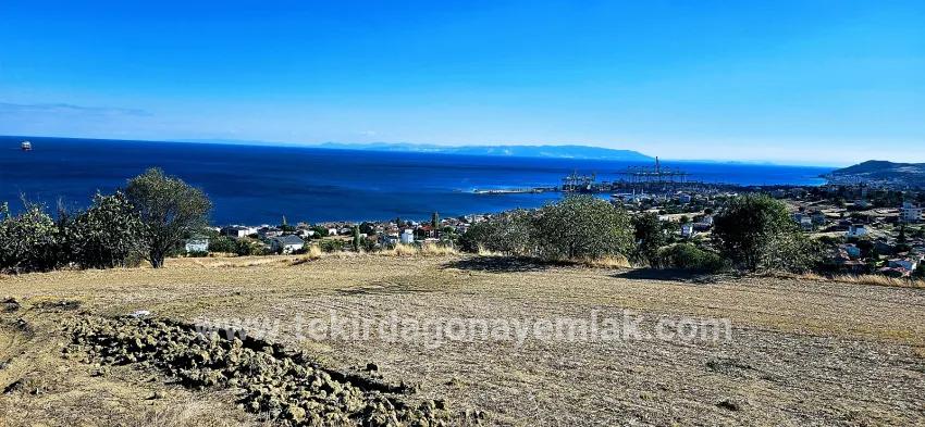 Süleymanpaşa Kumbağ Barbaros Mah. Satılık Arsa - Konut İmar Durumlu - 2.780 m²