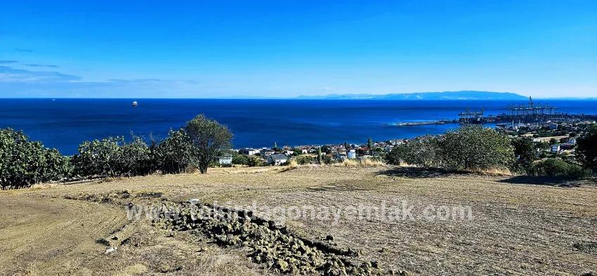 Süleymanpaşa Kumbağ Barbaros Mah. Satılık Arsa - Konut İmar Durumlu - 2.780 m²