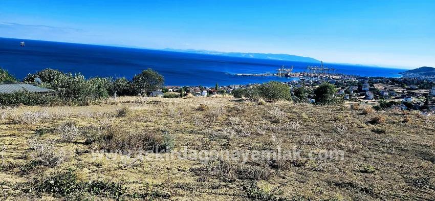 Süleymanpaşa Kumbağ Barbaros Mah. Satılık Arsa - Konut İmar Durumlu - 2.780 m²