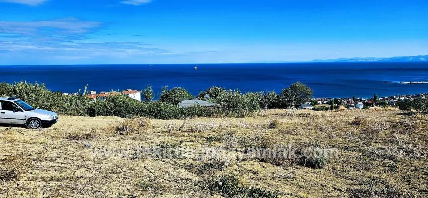 Süleymanpaşa Kumbağ Barbaros Mah. Satılık Arsa - Konut İmar Durumlu - 2.780 m²