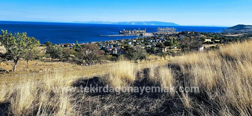 Süleymanpaşa Kumbağ Barbaros Mah. Satılık Arsa - Konut İmar Durumlu - 530 m²