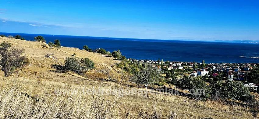 Süleymanpaşa Kumbağ Barbaros Mah. Satılık Arsa - Konut İmar Durumlu - 530 m²