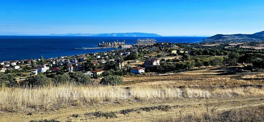 Süleymanpaşa Kumbağ Barbaros Mah. Satılık Arsa - Konut İmar Durumlu - 530 m²