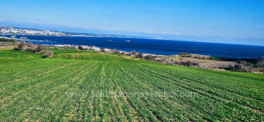 Süleymanpaşa Kumbağ Barbaros Mah. Satılık Arazi - Konut İmar Durumlu - 19.533 m²