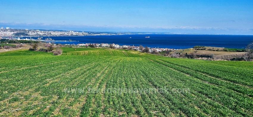 Süleymanpaşa Kumbağ Barbaros Mah. Satılık Arazi - Konut İmar Durumlu - 19.533 m²