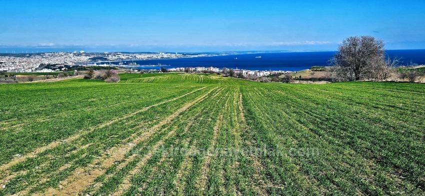Süleymanpaşa Kumbağ Barbaros Mah. Satılık Arazi - Konut İmar Durumlu - 19.533 m²