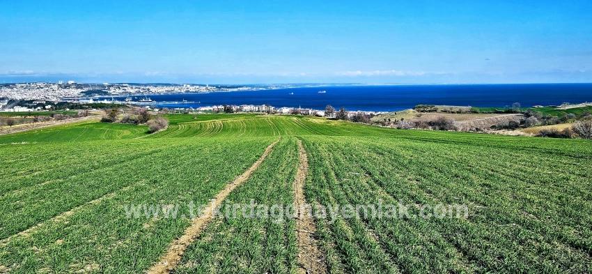 Süleymanpaşa Kumbağ Barbaros Mah. Satılık Arazi - Konut İmar Durumlu - 19.533 m²