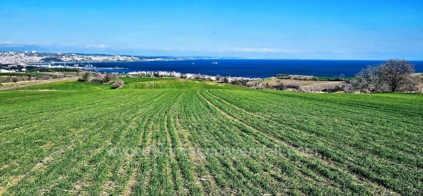 Tekirdağ Barbarosta 75 Adet Villa Projesine Uygun Full Deniz Ve Doğa Manzaralı Arazi