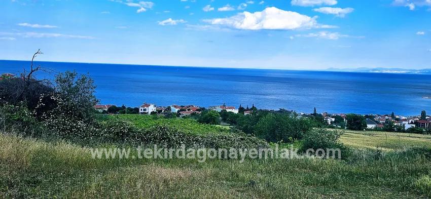 Süleymanpaşa Kumbağ Barbaros Mah. Satılık Arazi - Konut İmar Durumlu - 6.100 m²