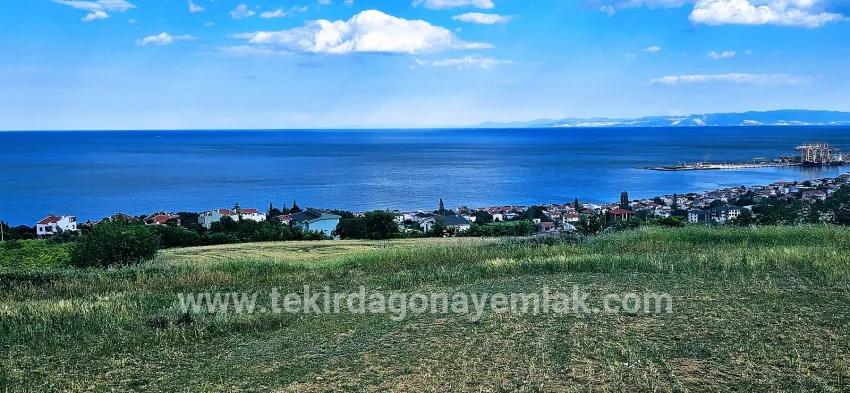 Süleymanpaşa Kumbağ Barbaros Mah. Satılık Arazi - Konut İmar Durumlu - 6.100 m²
