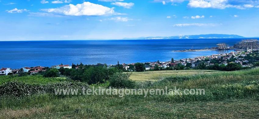Süleymanpaşa Kumbağ Barbaros Mah. Satılık Arazi - Konut İmar Durumlu - 6.100 m²