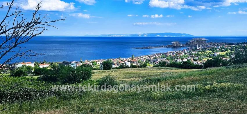 Süleymanpaşa Kumbağ Barbaros Mah. Satılık Arazi - Konut İmar Durumlu - 6.100 m²
