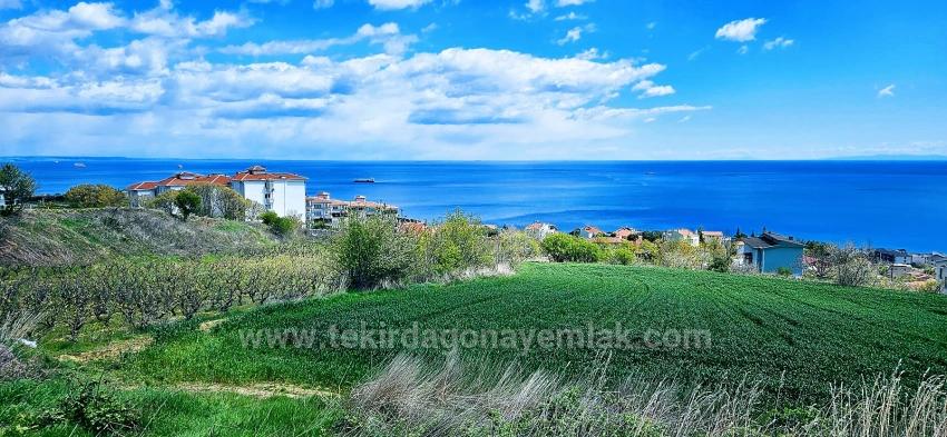 Eşsiz Full Deniz Ve Doğa Manzaralı 15 Adet Lüxs Villa Projeye Uygun Yer