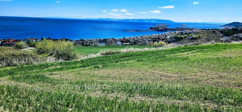 Eşsiz Full Deniz Ve Doğa Manzaralı 45 Adet 2+1 Siteve Kooparetif Projesine Uygun Arazi