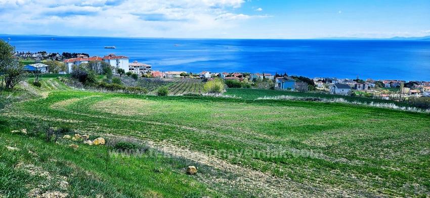 Eşsiz Full Deniz Ve Doğa Manzaralı 15 Adet Lüxs Villa Projeye Uygun Yer