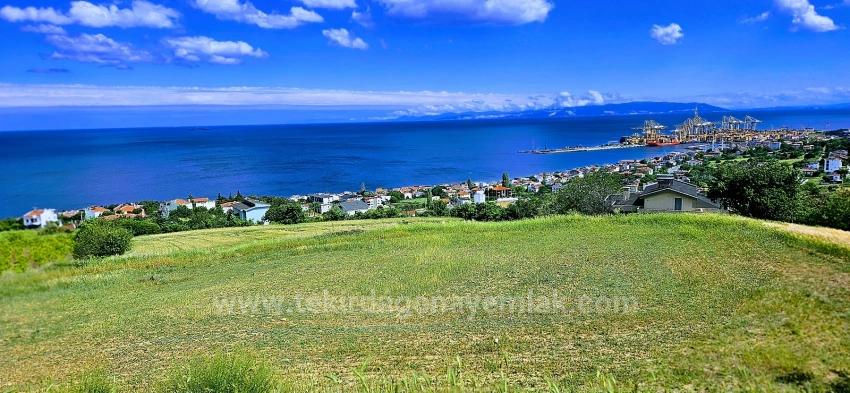 Eşsiz Full Deniz Ve Doğa Manzaralı 15 Adet Lüxs Villa Projeye Uygun Yer