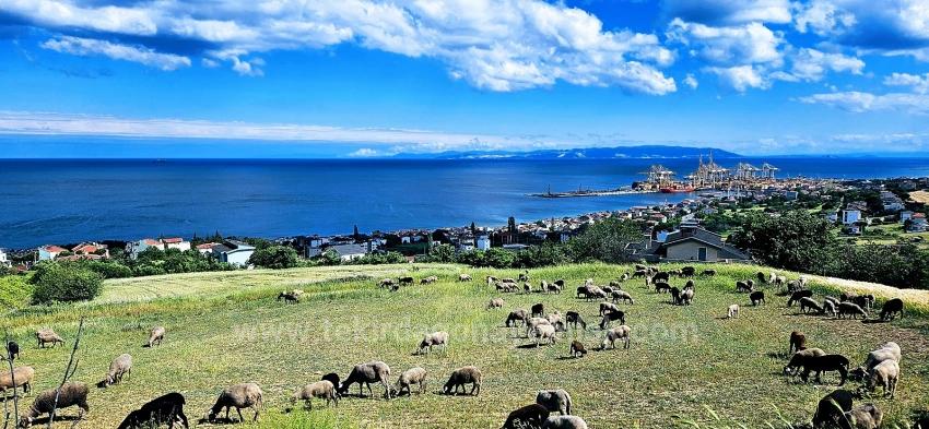Eşsiz Full Deniz Ve Doğa Manzaralı 15 Adet Lüxs Villa Projeye Uygun Yer