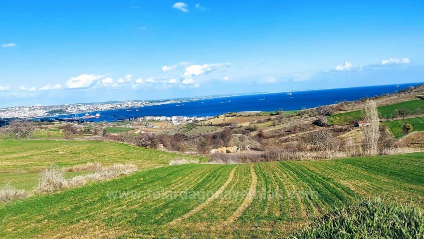 Tekirdağ Barbarosta Full Deniz Ve Doğa Manzaralı 8 Adet Villa Projesine Uygun Arazi