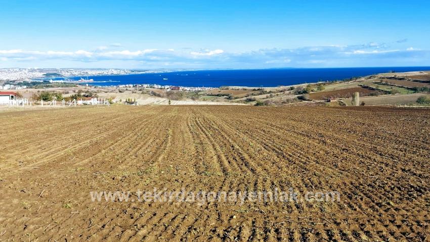 Süleymanpaşa Kumbağ Barbaros Mah. Satılık Arazi - Villa İmar Durumlu - 6.350 m²